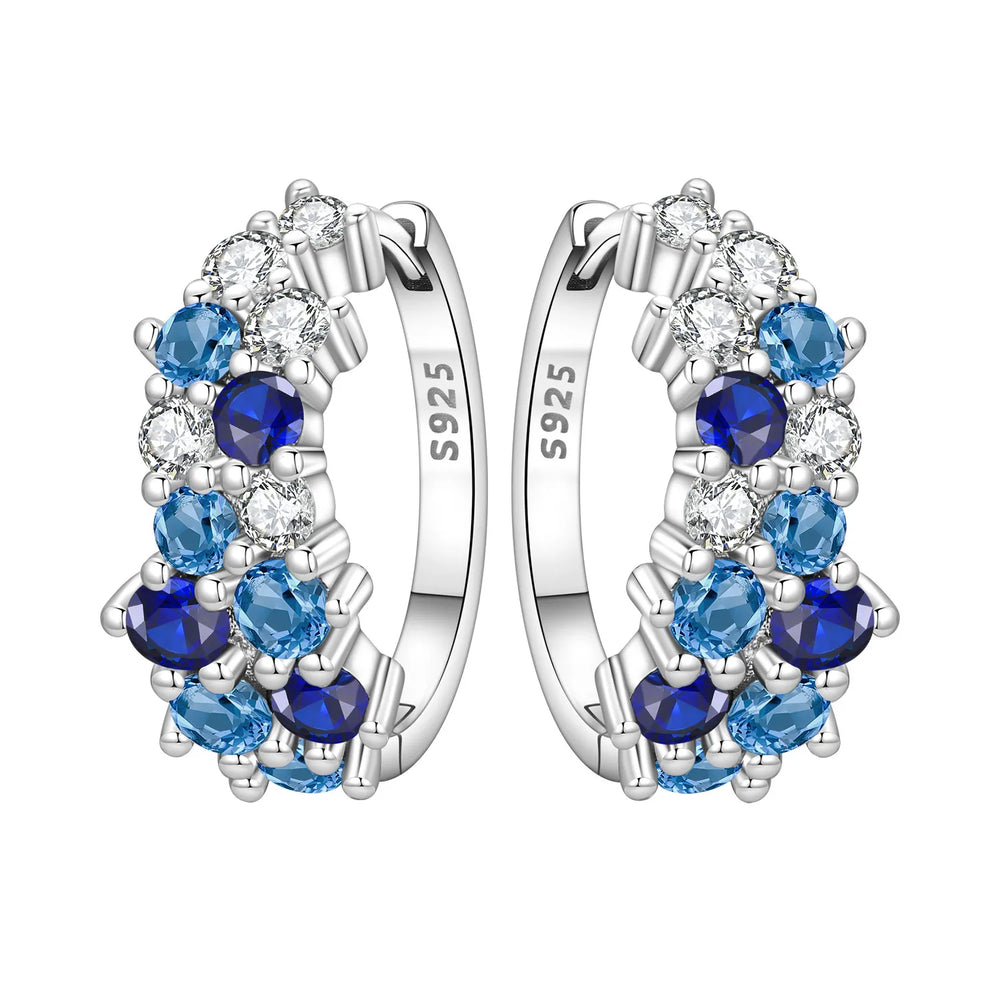 PANPOKI S925 Sterling Silver Purple Zircon Series Earrings Hoop Earrings For Women Jewel detail view