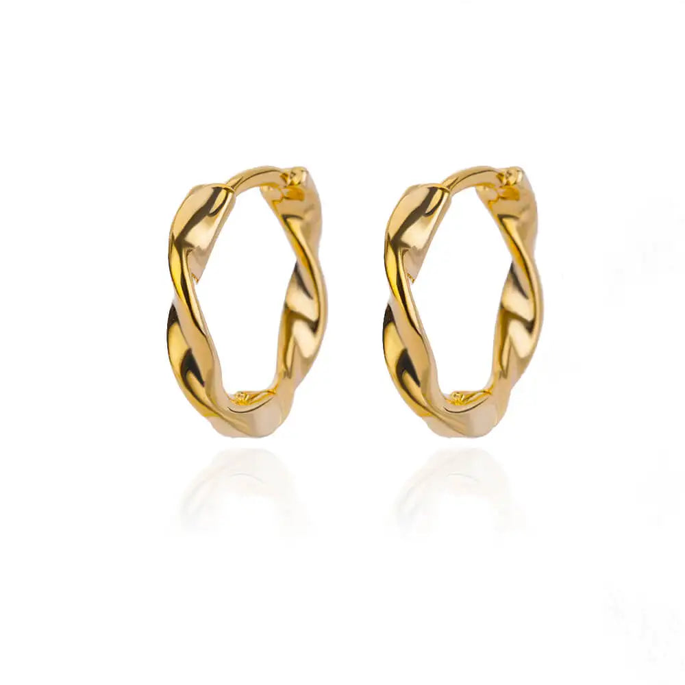 Round Stainless Steel Hoop Earrings for Women