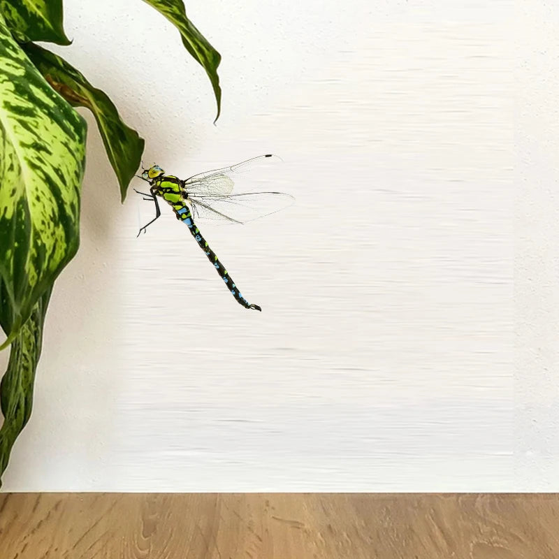 Realistic Dragonfly Wall Sticker | Home Decoration Decals lifestyle view
