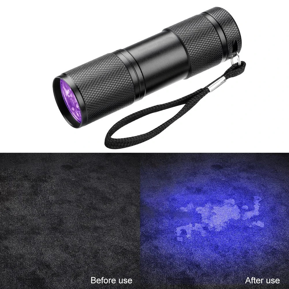 395nm UV Black Light Flashlight | Pet Urine Detector for Dog Stains and Bed Bugs close-up view