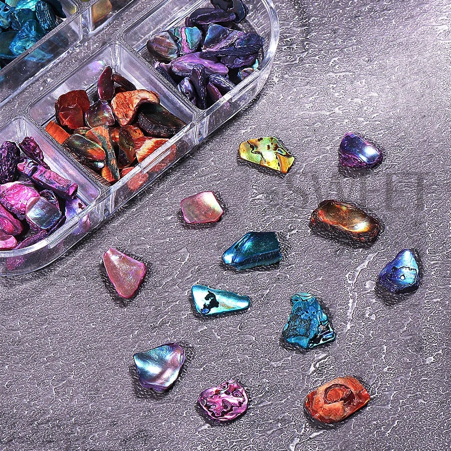 6 Grids Abalone Shell Flakes Nail Art Decoration 3D Charms Irregular Seashell Fragment close-up view