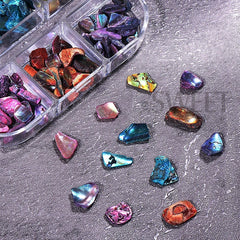 6 Grids Abalone Shell Flakes Nail Art Decoration 3D Charms Irregular Seashell Fragment close-up view