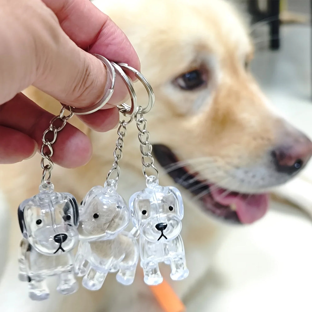 Creative Dog Hair Storage Keychain Transparent Dog\Cat Shape Memorial Pendant Handmad lifestyle view