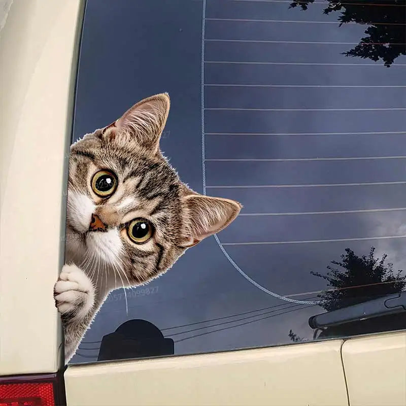 Cat Peeking Window Wall Sticker | Funny Home Decoration Decal alternate view