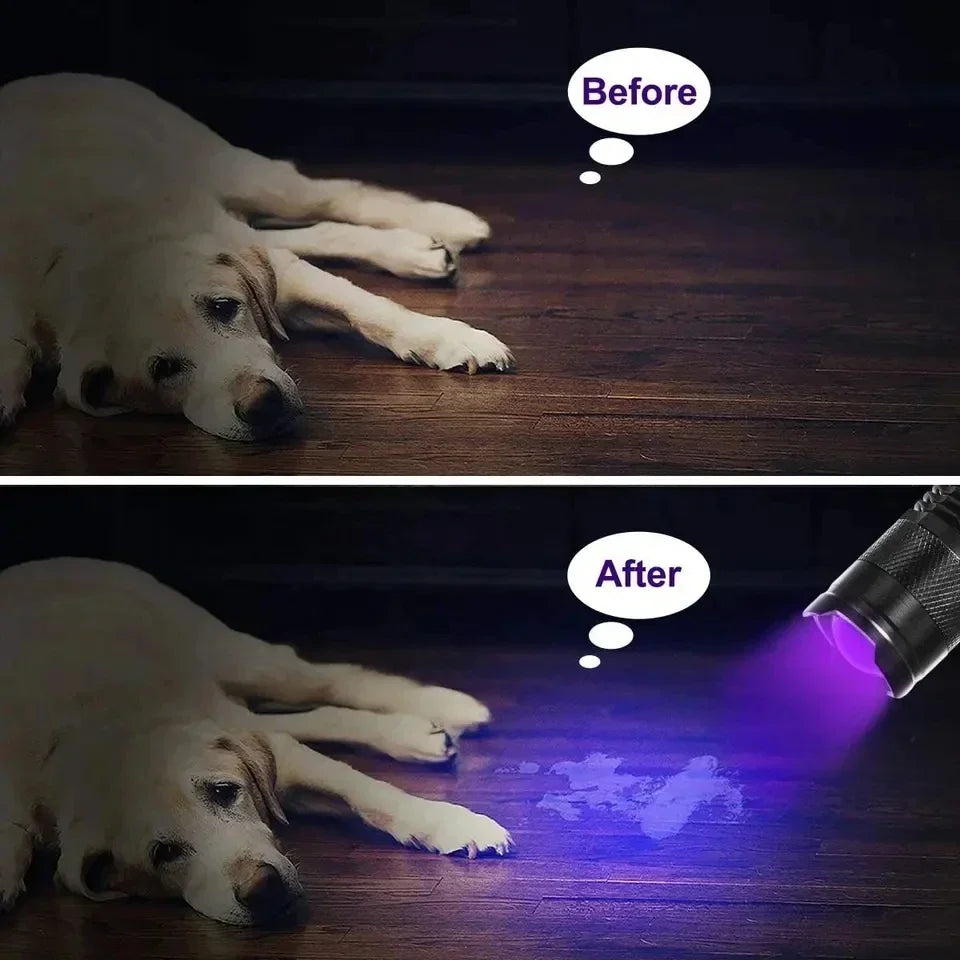 UV LED Flashlight 395nm | Ultraviolet Blacklight Detector for Pet Urine and Stains lifestyle view