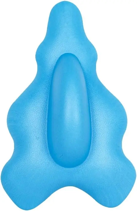 Blue rubber duck on a white background