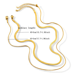 2-Piece Set of Snake Bone Chains, Simple and Stylish Casual 304L Stainless Steel Double- detail view