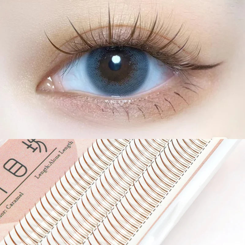 Brown Lashes A Type False Eyelashes 8-12mm | Natural Fairy Lash Clusters for Korean Makeup