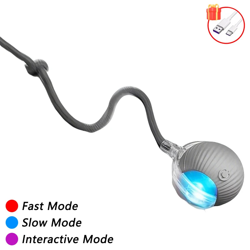 Self-Moving Automatic Cat Teaser Ball with Faux Tail Rechargeable Smart Sensor Cat To lifestyle view