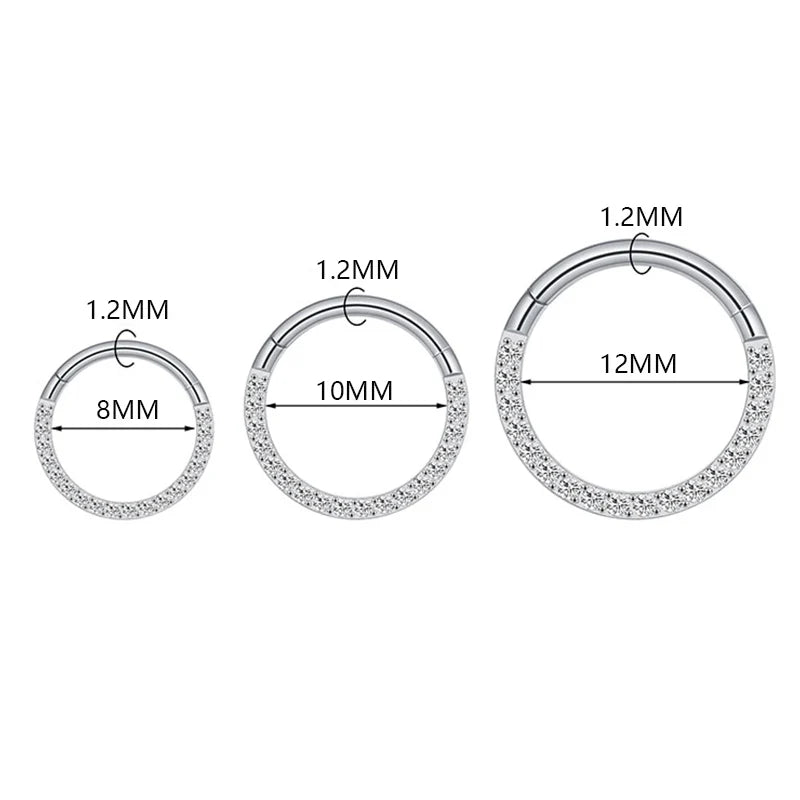 Steel Hinged Segment Hoop CZ Stone Nose Ring Nipple Clicker Ear Cartilage Tragus He additional angle