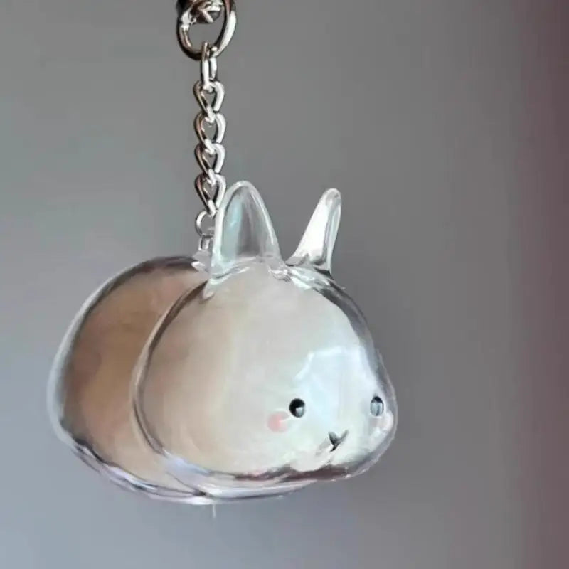 Cartoon Pet Hair Memorial Transparent Storage Box Keyring Cute Animal Rabbit Fur Orga alternate view