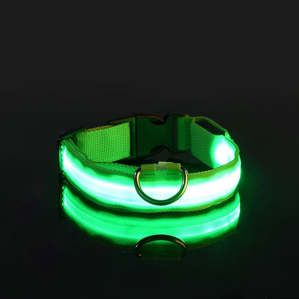 Nylon LED Night Safety Dog Collar close-up view
