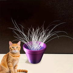 Mini Flower Pot Design Pet Whisker & Fur Collector Desktop Ornament Collectible Keepsake for Cat Own