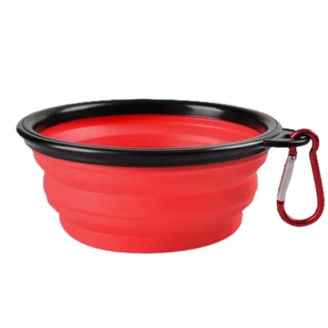 Collapsible Pet Silicone Dog Bowl | Portable Travel Food and Water Bowl with Carabine lifestyle view