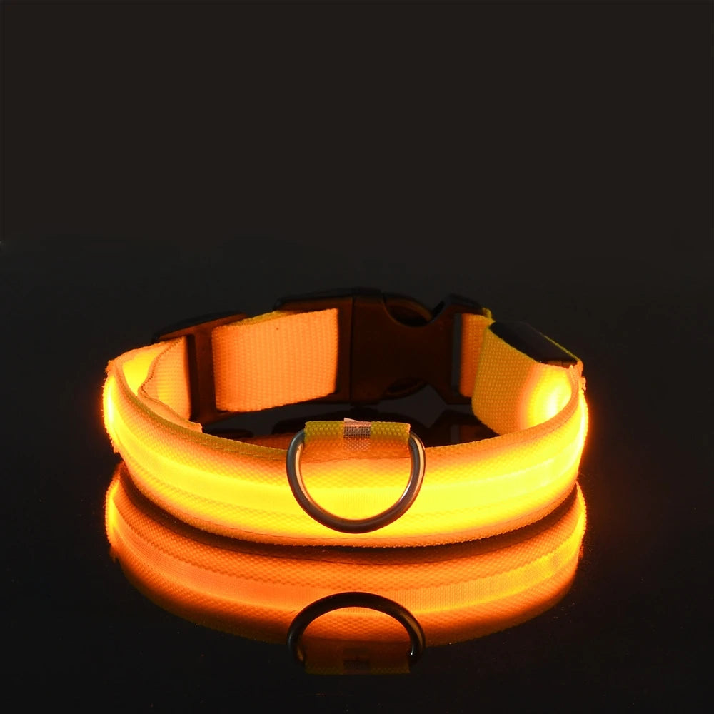 Nylon LED Night Safety Dog Collar detail view