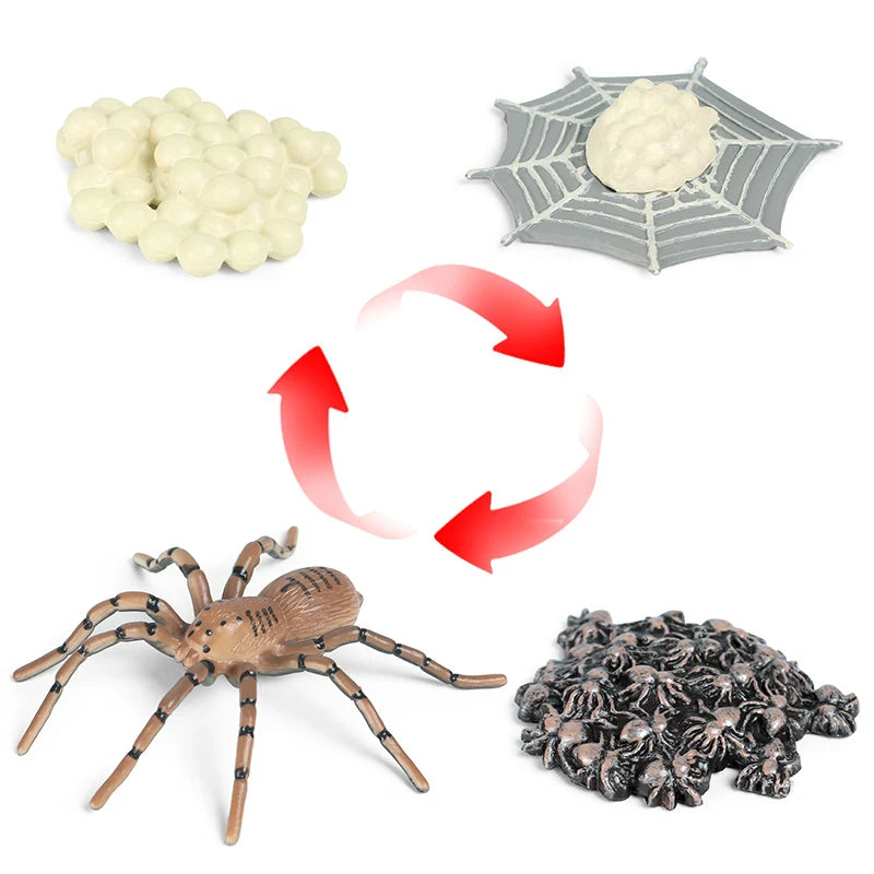 Oenux Insect Animals Model Spider Web Scorpion Bat Action Figures Figurine Miniature Cute Educational Kid Toy Halloween Gift