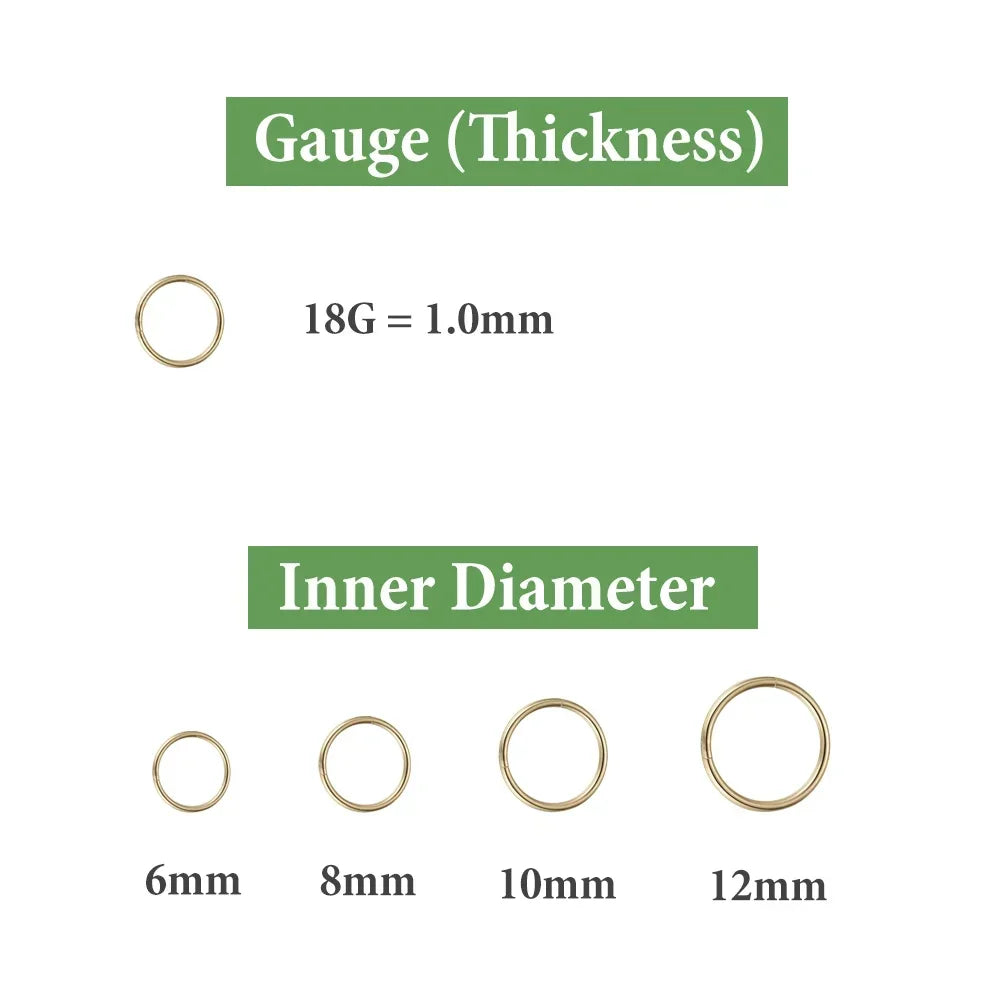 2/8PCS 18G 316L Stainless Steel Nose Ring Hoop Earrings for Women Men Septum Helix Tragu detail view
