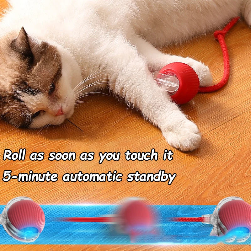 Interactive Cat Ball | Automatic Rolling Toy with Motion Sensors close-up view