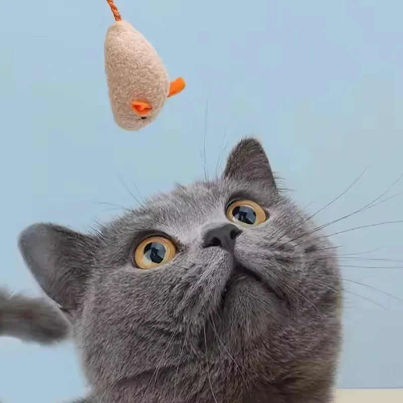 12PCS Interactive Plush Rat Cat Toys close-up view