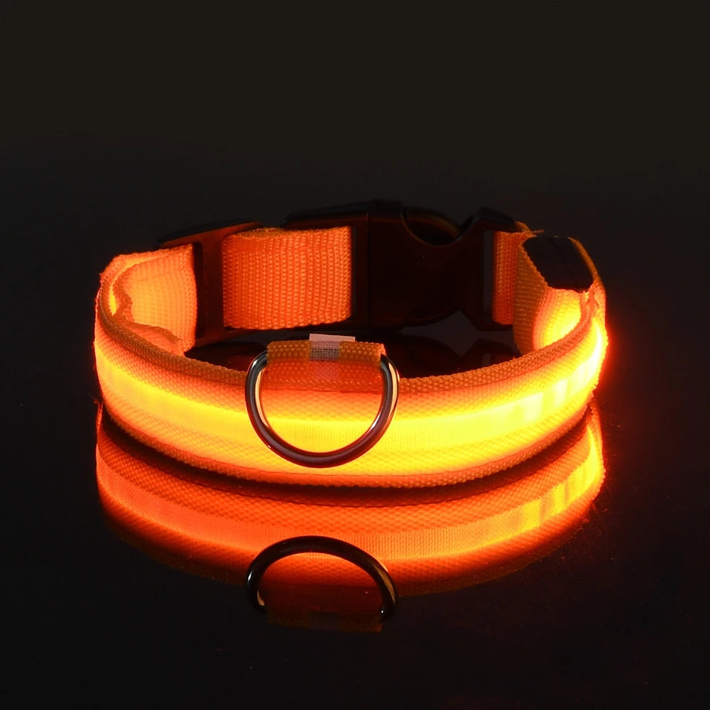Nylon LED Night Safety Dog Collar alternate view