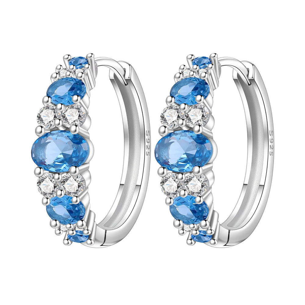 PANPOKI S925 Sterling Silver Purple Zircon Series Earrings Hoop Earrings For Women Je alternate view