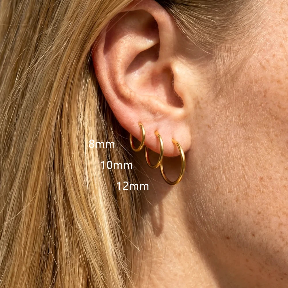 2/8PCS 18G 316L Stainless Steel Nose Ring Hoop Earrings for Women Men Septum Helix Tra close-up view