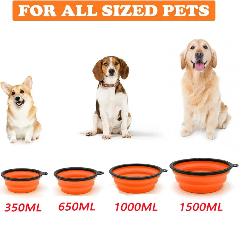 Portable Foldable Dog Bowl | Soft Silicone Travel Bowl for Food and Water lifestyle view
