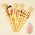 Professional 13-Piece Makeup Brush Set | Complete Cosmetic Tool Kit close-up view