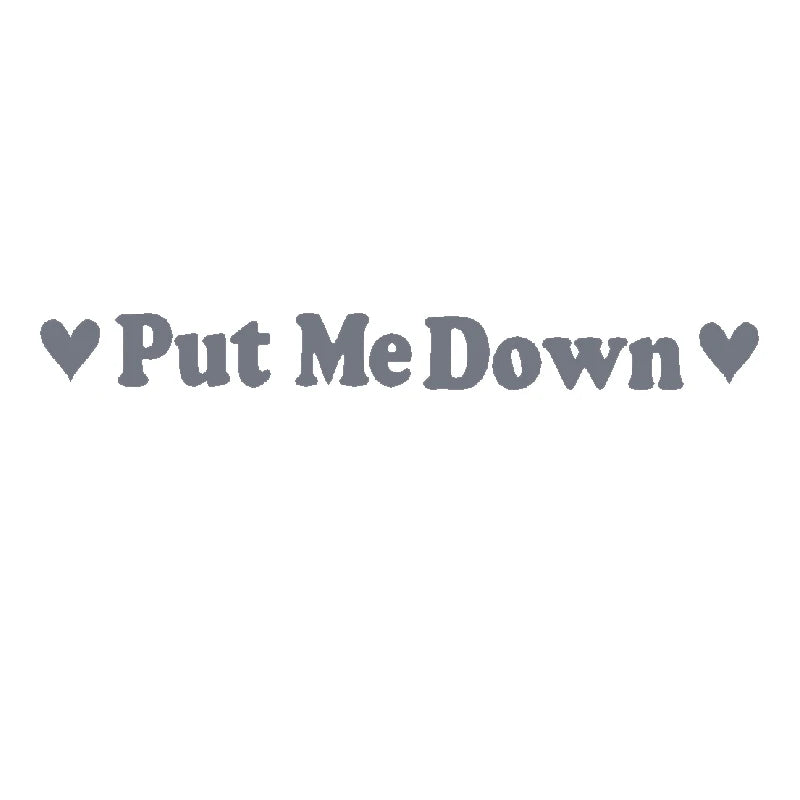 PUT ME DOWN Toilet Seat Reminder Sign | Funny Vinyl Bathroom Decal alternate view
