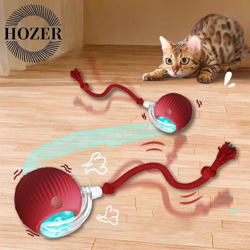 Interactive Cat Ball | Automatic Rolling Toy with Motion Sensors