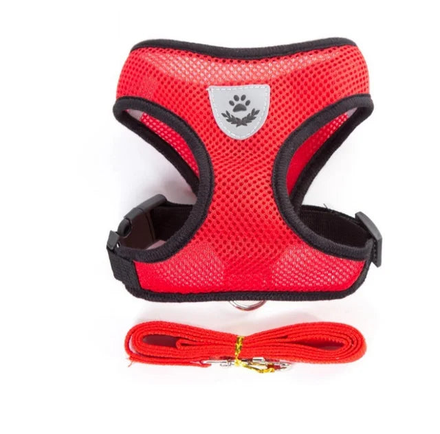 Breathable Mesh Cat Harness and Leash Set | Reflective Soft Vest for Small Cats and D lifestyle view