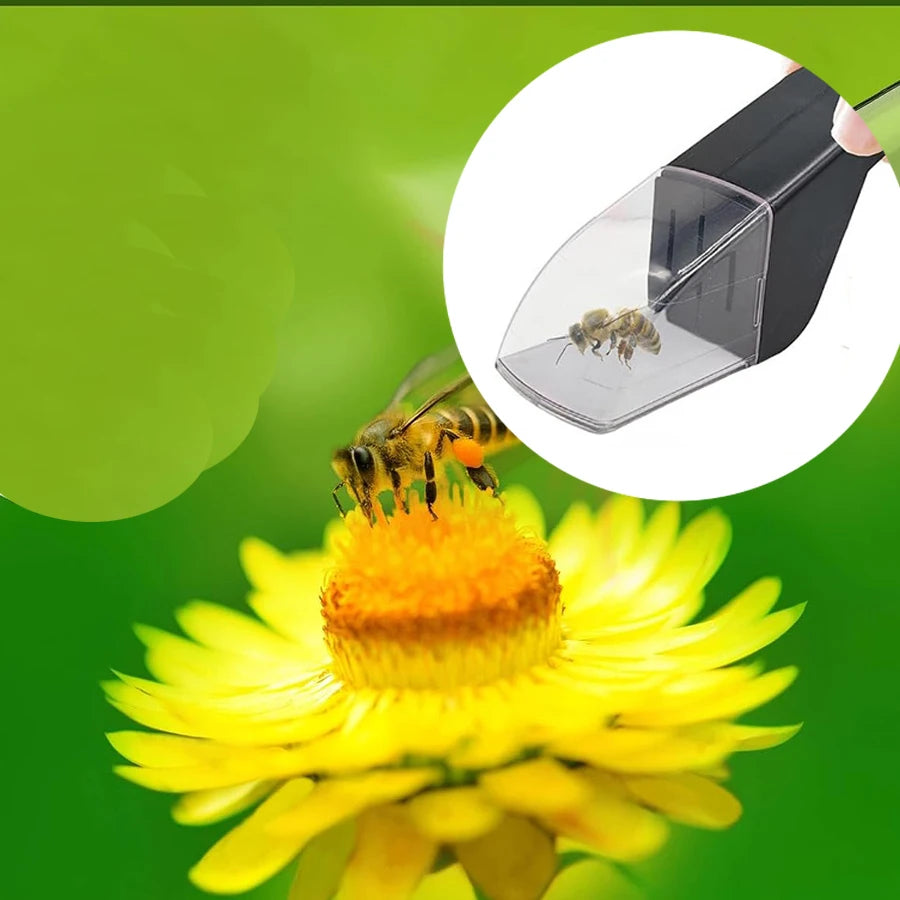 Kids Bug Catcher | Humane Insect Observer with Quick Release additional angle