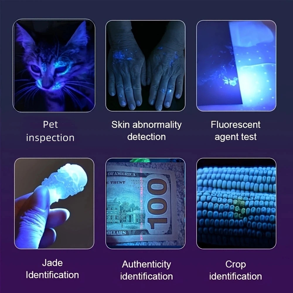 Mini 365nm/395nm Blacklight UV Flashlight | USB Rechargeable Pet Urine Detector alternate view