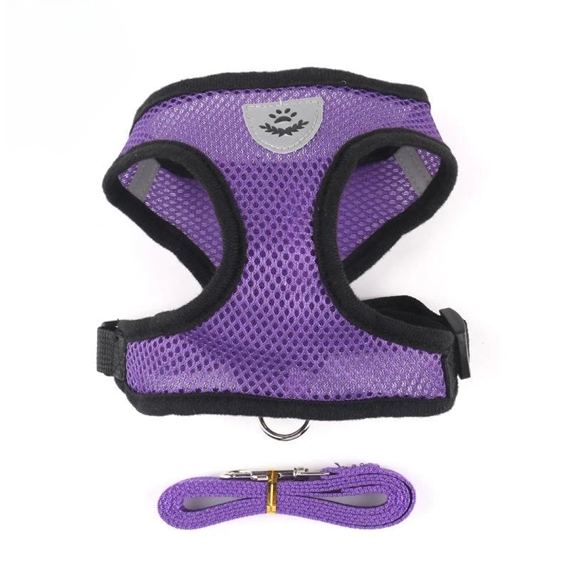 Breathable Mesh Cat Harness and Leash Set | Reflective Soft Vest for Small Cats and D lifestyle view
