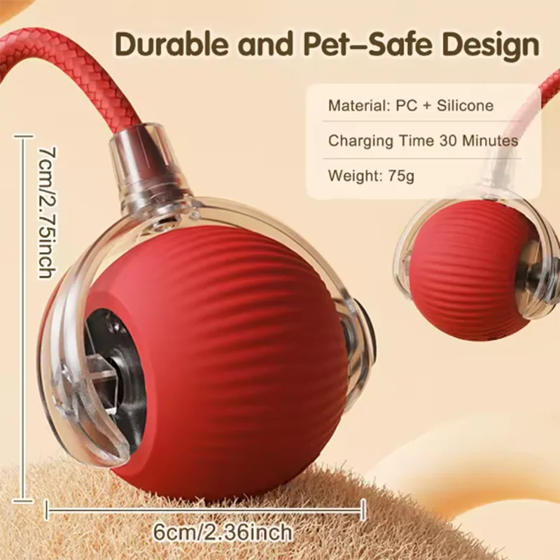 Cat toys are automatically teasing cat balls lifestyle view