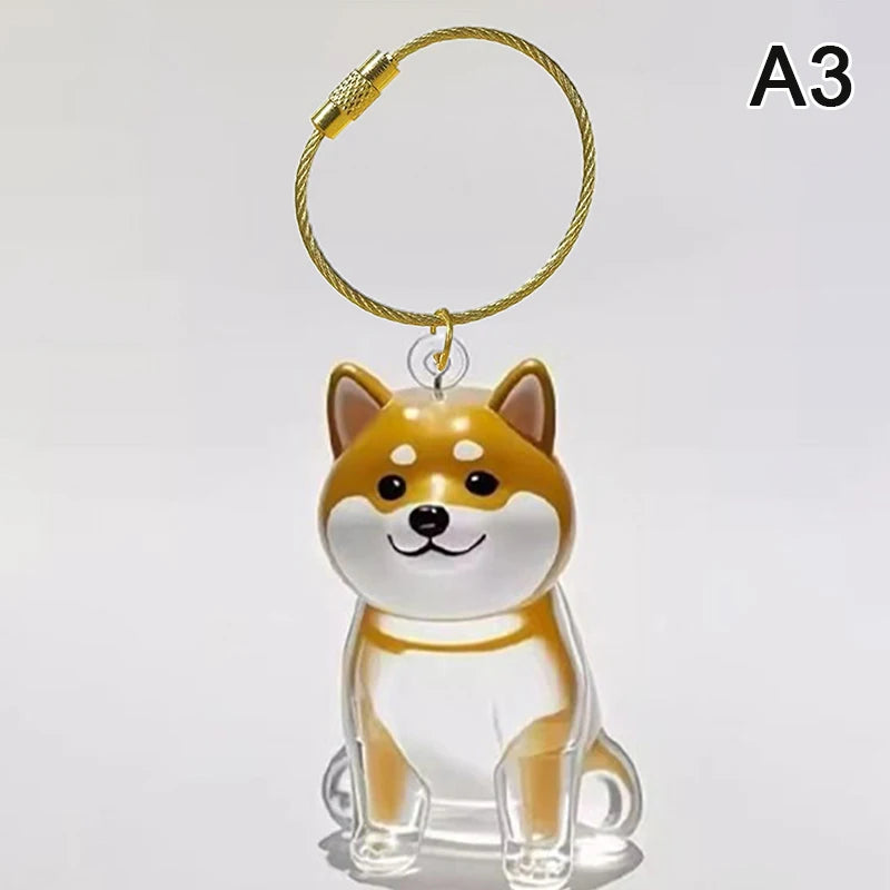 Clear Pet Hair Memorial Keepsake Capsule Dog Fur Container DIY Pendant Keychain Decor An detail view