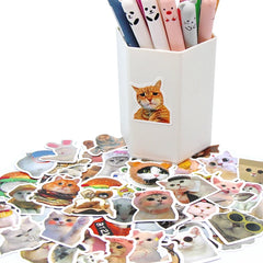 Stickers Cartoon Decals Toy Stationery Guitar Phone Bicycle Laptop Luggage Car Graffiti Kids Sticker