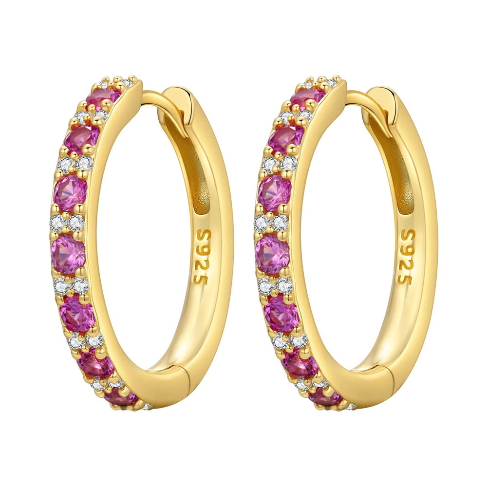 PANPOKI S925 Sterling Silver Purple Zircon Series Earrings Hoop Earrings For Women Je lifestyle view