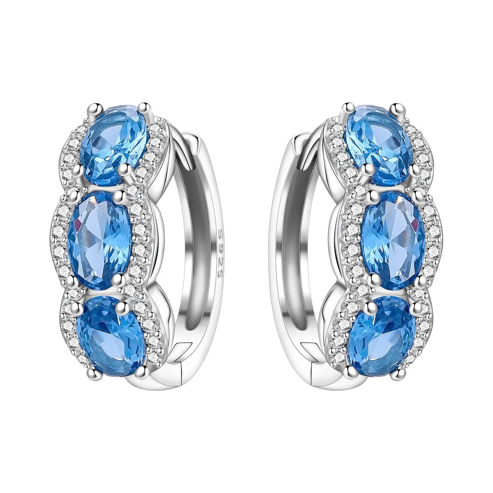 PANPOKI S925 Sterling Silver Purple Zircon Series Earrings Hoop Earrings For Women Je lifestyle view