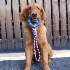 Dog Toys Chew Resistant Nylon Rope Toys Pet Colorful Woven Knot Rubber Toys Dog Self Fun Outdoor Swi