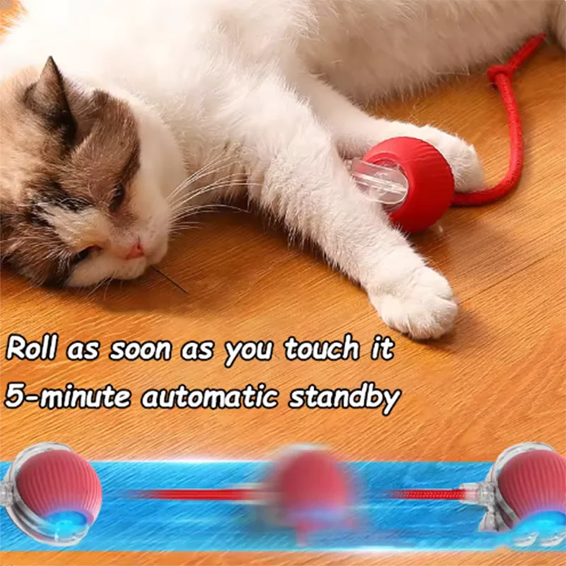 Cat toys are automatically teasing cat balls detail view