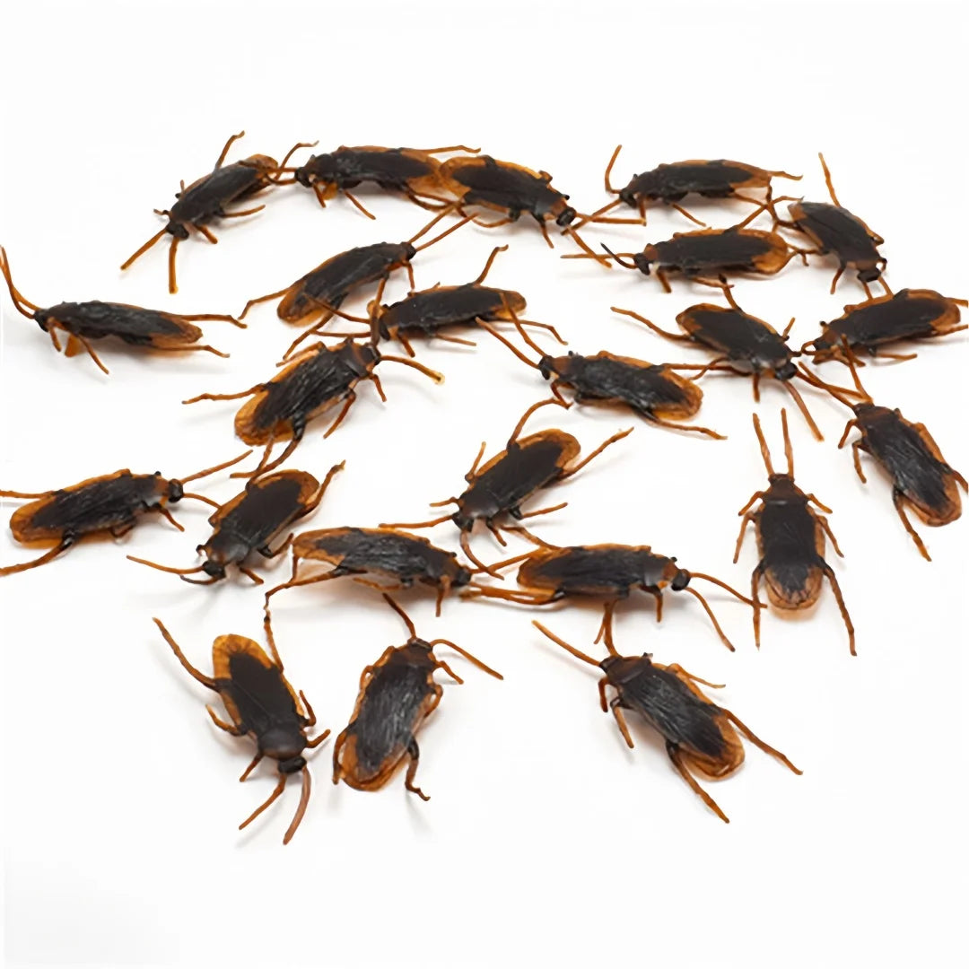15/5pc Simulated Cockroaches Realistic Fake Cockroaches in Plastic Models Fun Props F alternate view