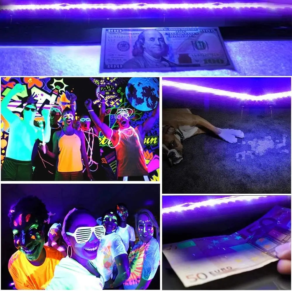 UV LED Light Strip 395-405nm | Flexible Black Light for Glow Party lifestyle view