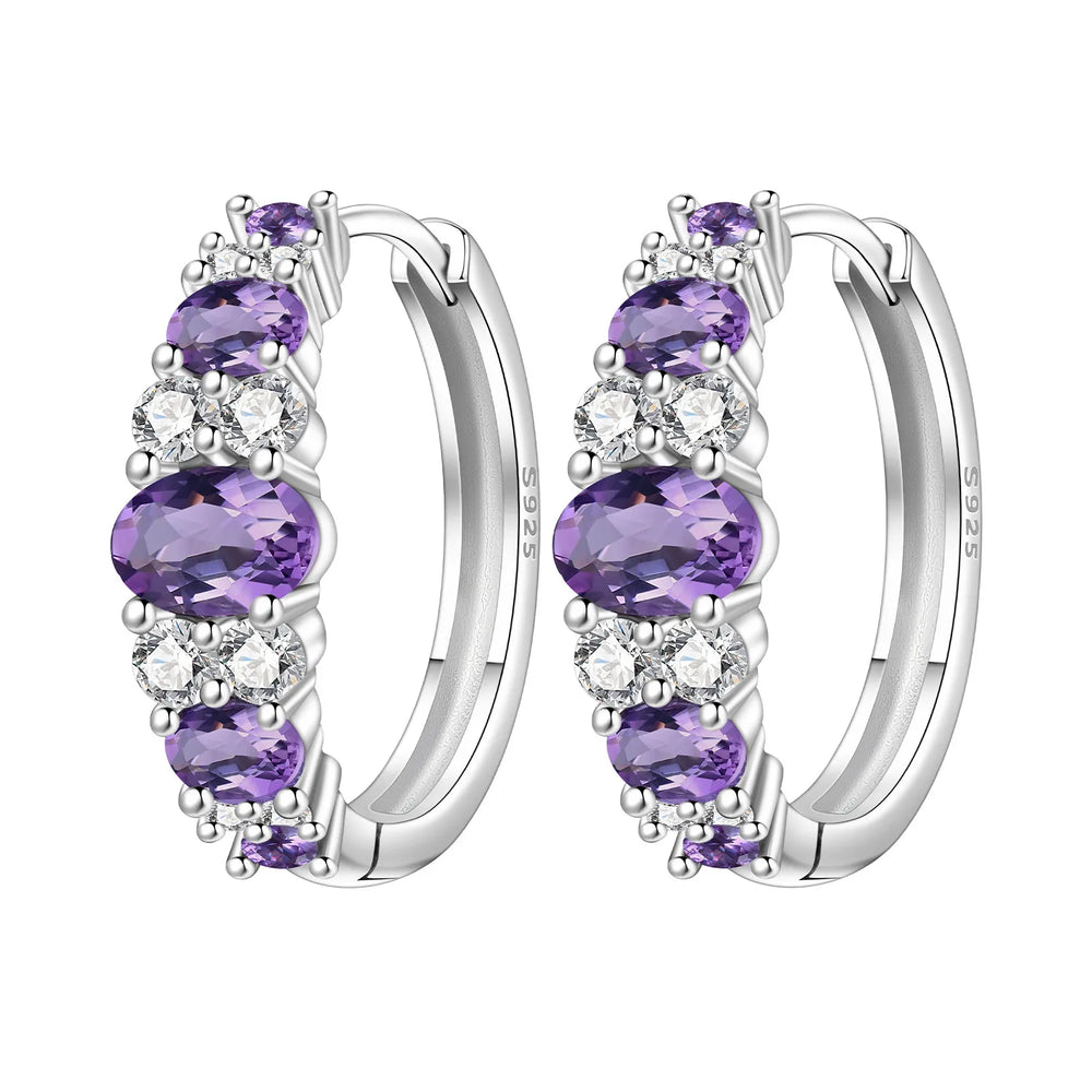 PANPOKI S925 Sterling Silver Purple Zircon Series Earrings Hoop Earrings For Women Jew close-up view