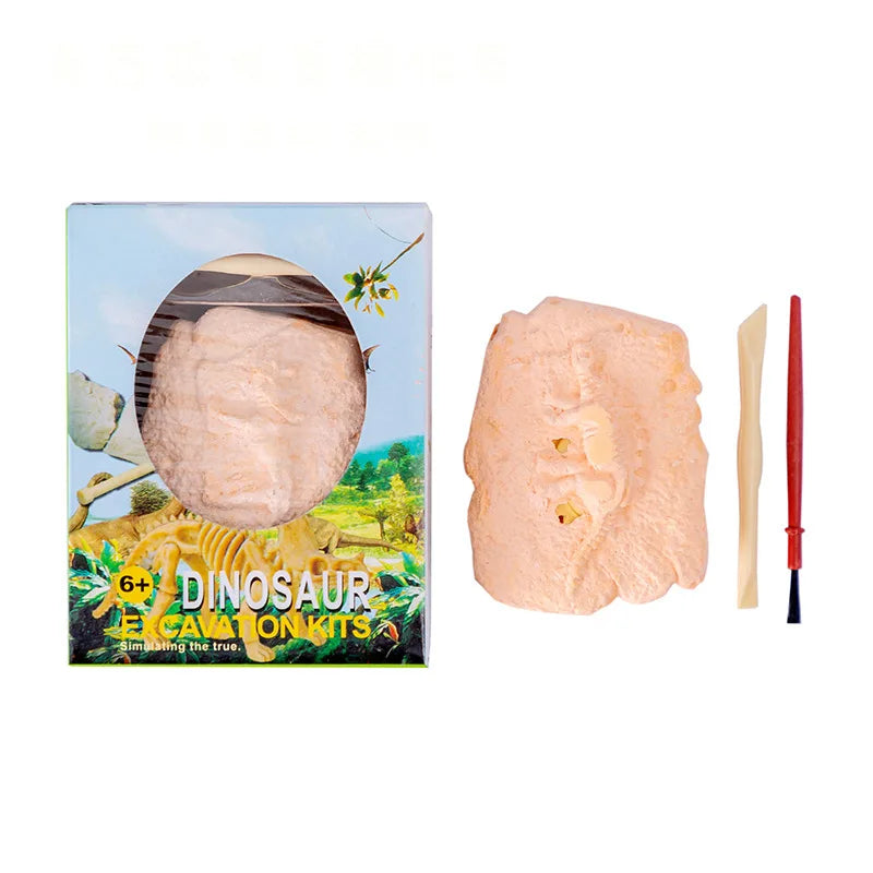 1Pc Dinosaur Fossil Excavation Toys Archaeological Dig DIY Assembly Model Boys Girl additional angle
