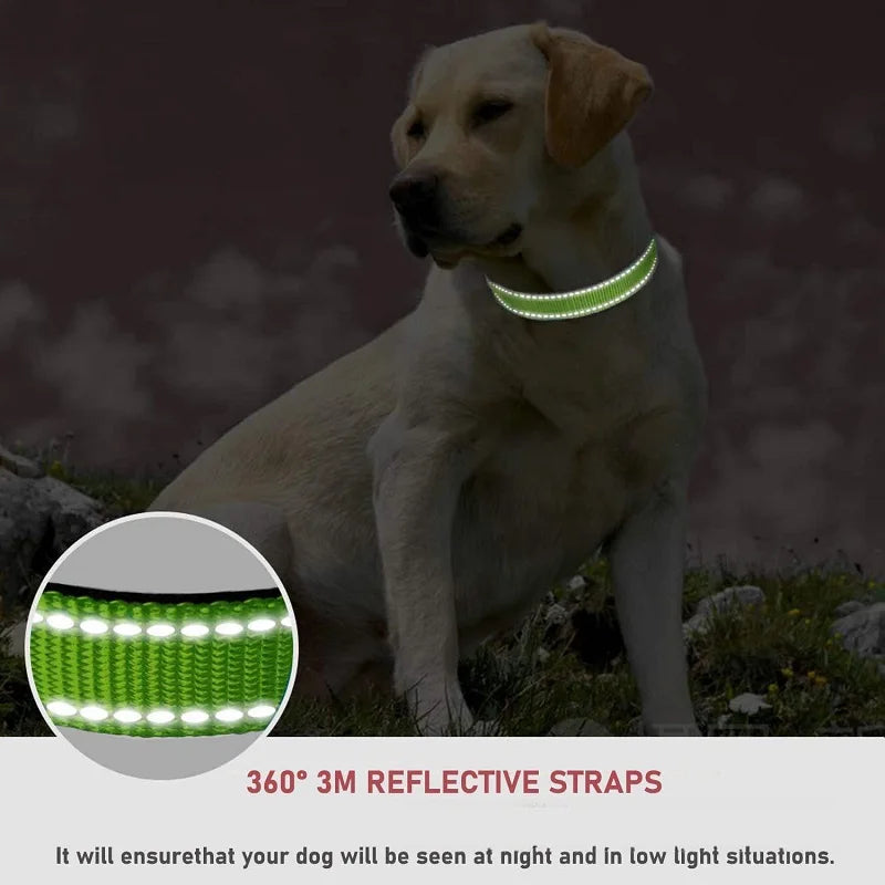 Choker Small Dog Collar Puppy Neck Collars for Dogs Big Decorative Dog Collar GXQ07 detail view