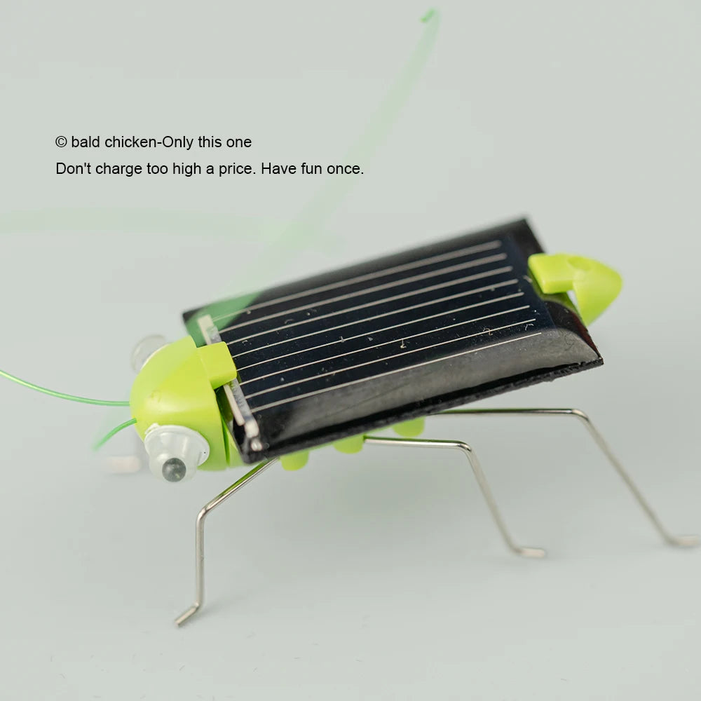 Solar Simulation Insect Grasshopper Toy Puzzle Children Selected Gift Gift Boys And Gi close-up view