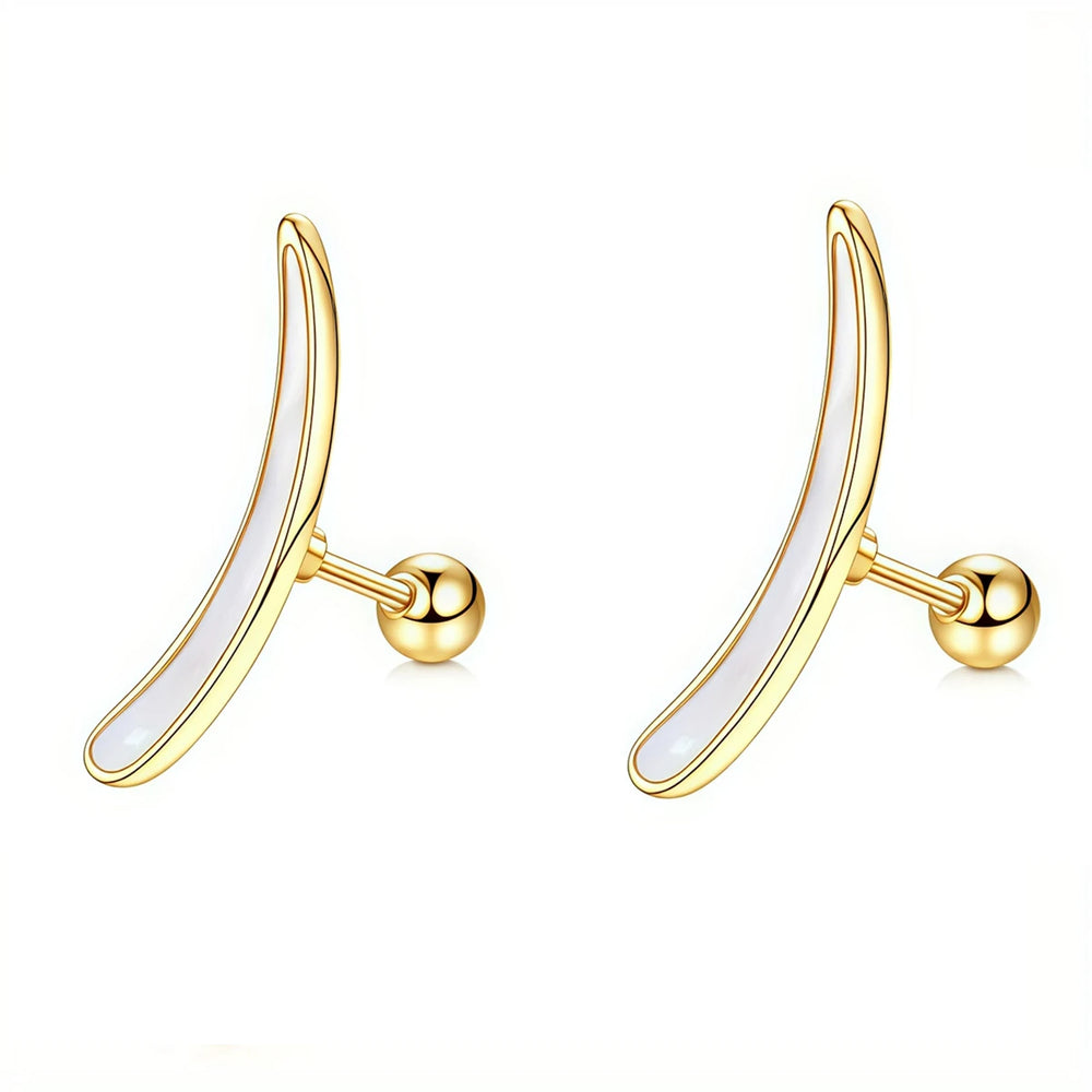 EVISPOL 2Pcs 16G Stainless Steel Screw Back Stud Earrings for Women, Cubic Zerconia C lifestyle view