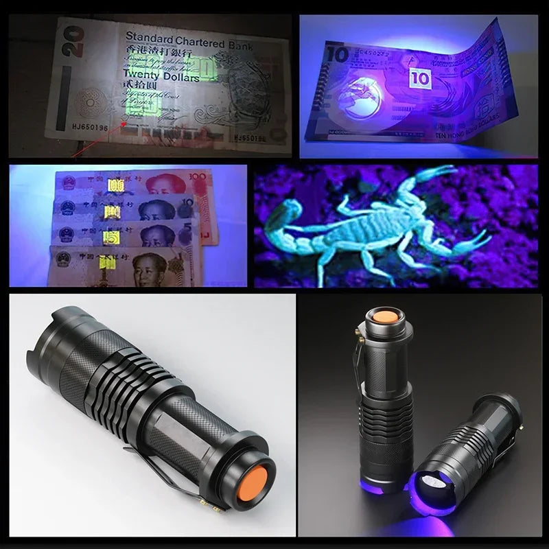 UV LED Flashlight 395nm Blacklight | Portable Pet Urine Detector & Scorpion Finder lifestyle view