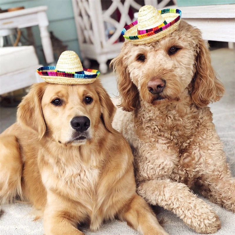 Colorful Mini Pet Straw Sombrero Hat | Dog Cat Sun Hat for Beach Parties alternate view